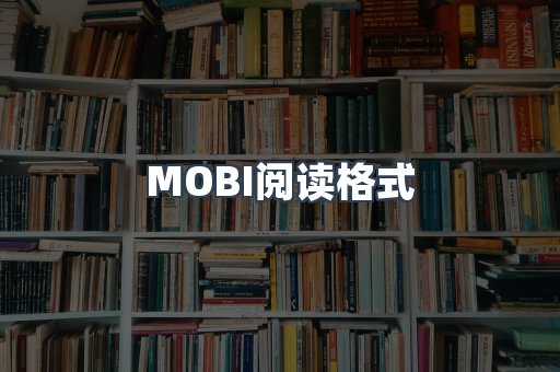 外文电子书系列
